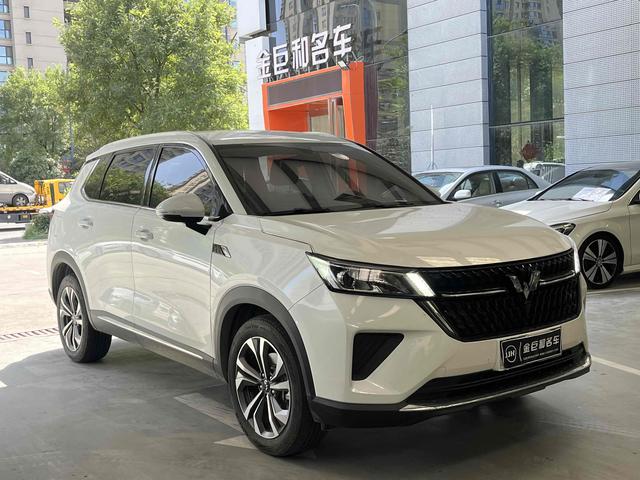 Wuling Star