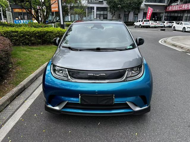 BYD Dolphin