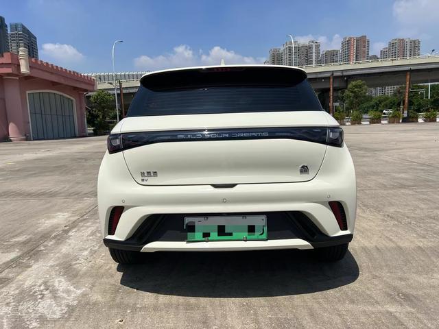 BYD Dolphin