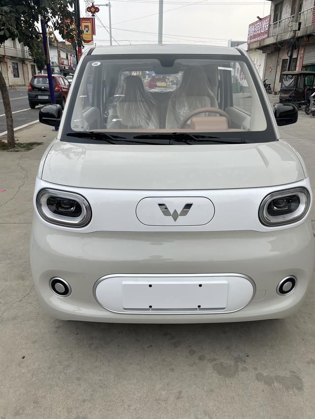 Wuling Hongguang MINIEV