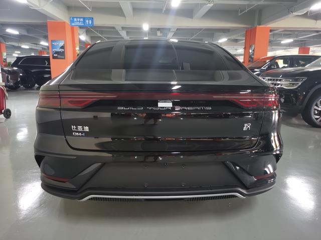 BYD Chinese DM