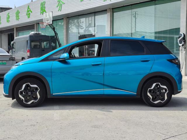 BYD Dolphin