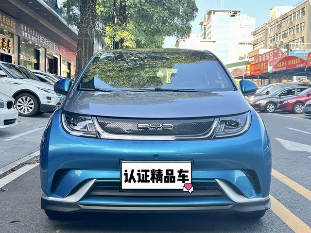 BYD Dolphin