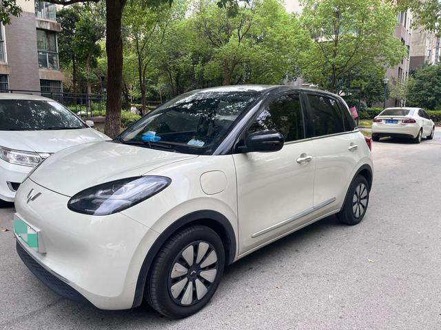 Wuling Bingo