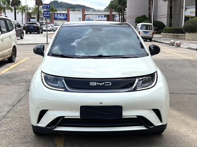 BYD Dolphin