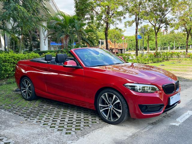 BMW 2 Series (Imported)