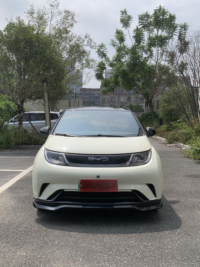 BYD Dolphin