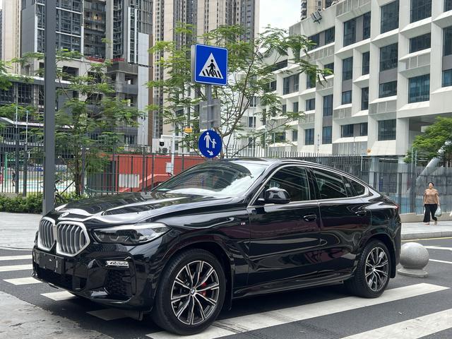 BMW X6