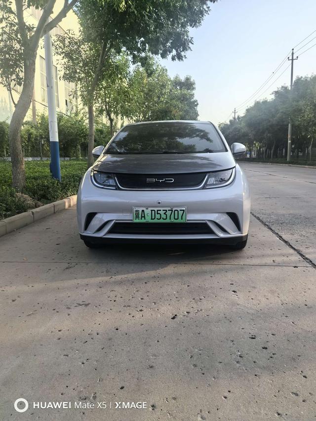 BYD Dolphin