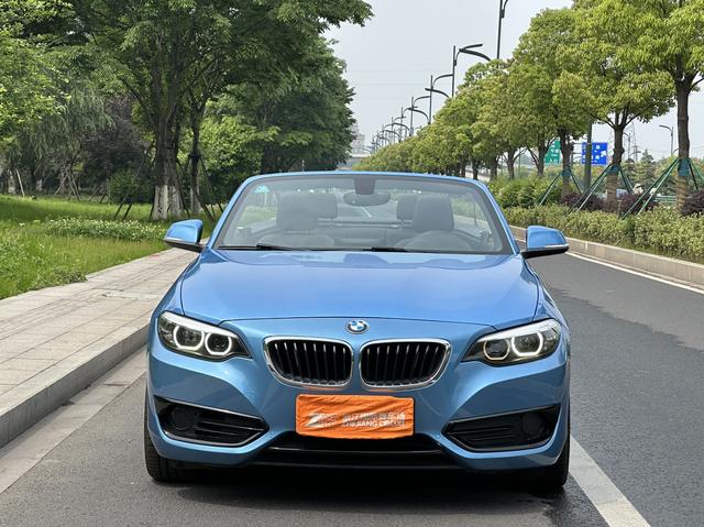 BMW 2 Series (Imported)