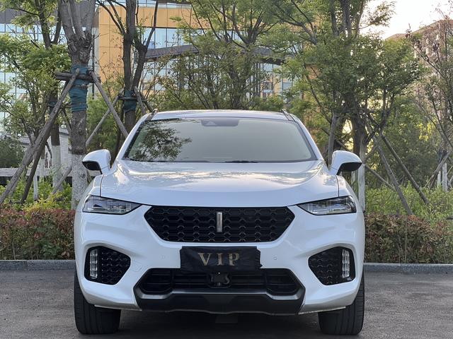 Wei brand VV7