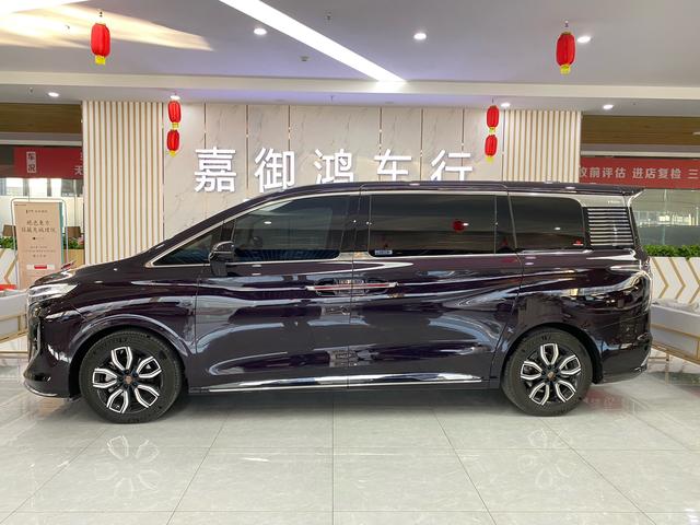 Hongqi HQ9