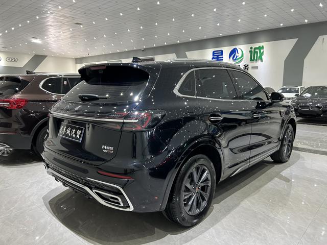 Hongqi HS5