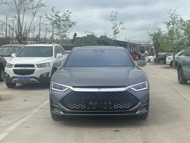 BYD Chinese DM