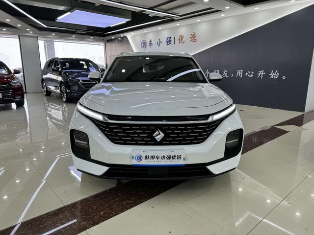 Baojun Valli