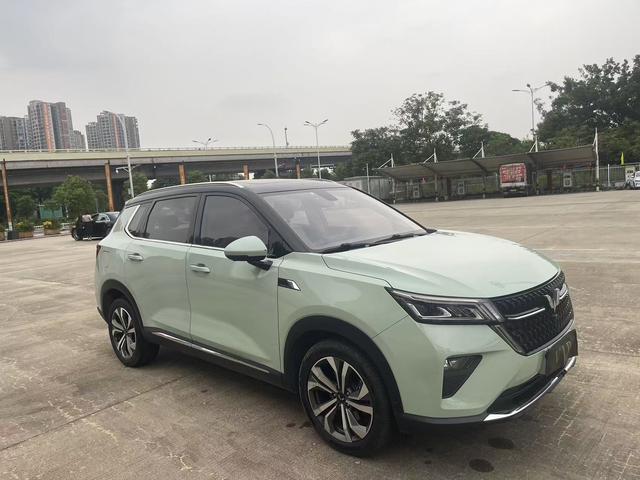 Wuling Star