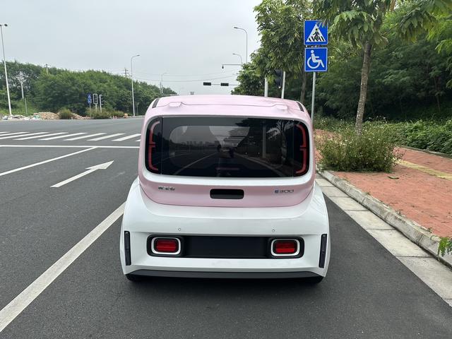 Baojun E300