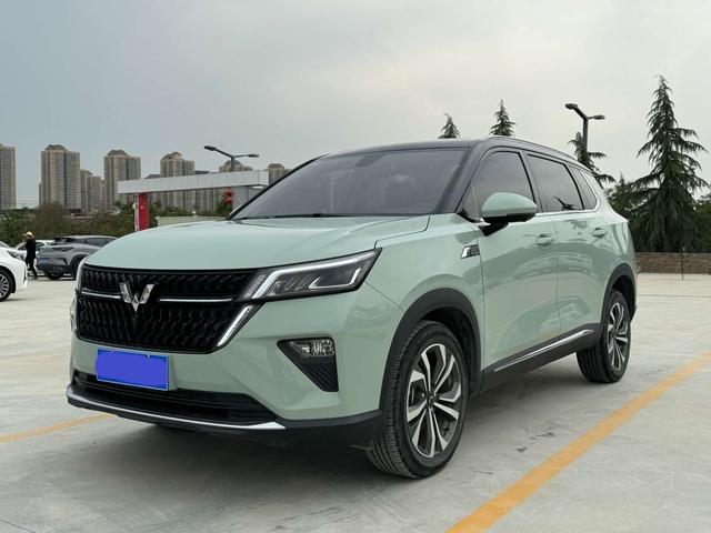 Wuling Star