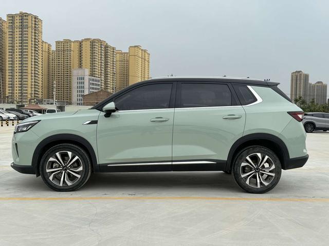 Wuling Star