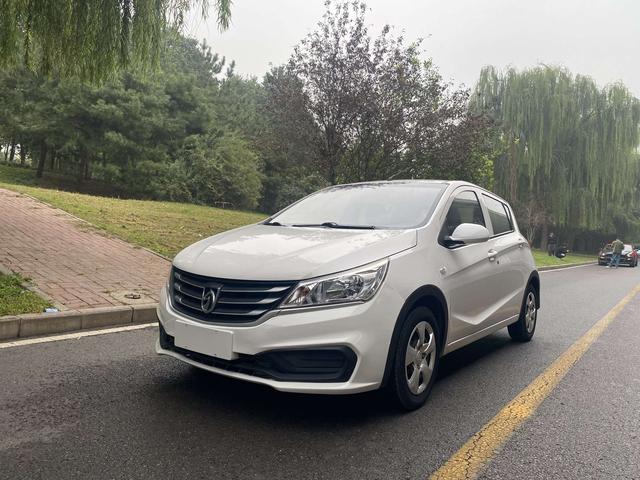 Baojun 310