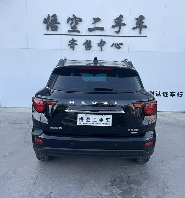 Haval second generation big dog