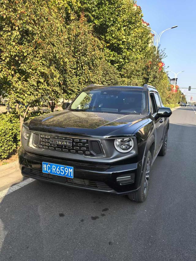 Haval second generation big dog