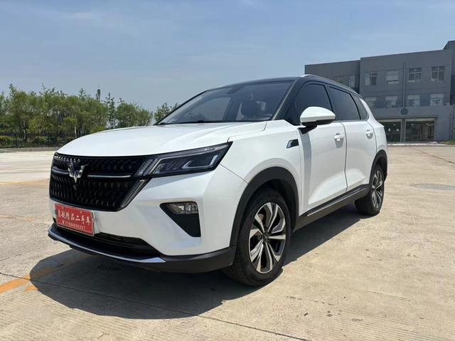 Wuling Star