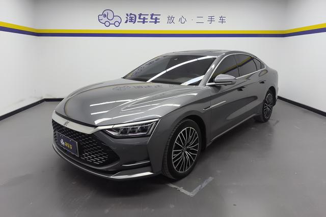 BYD Chinese DM