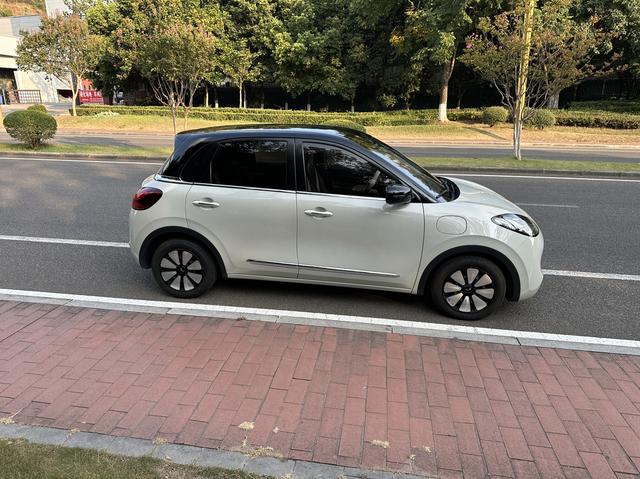 Wuling Bingo