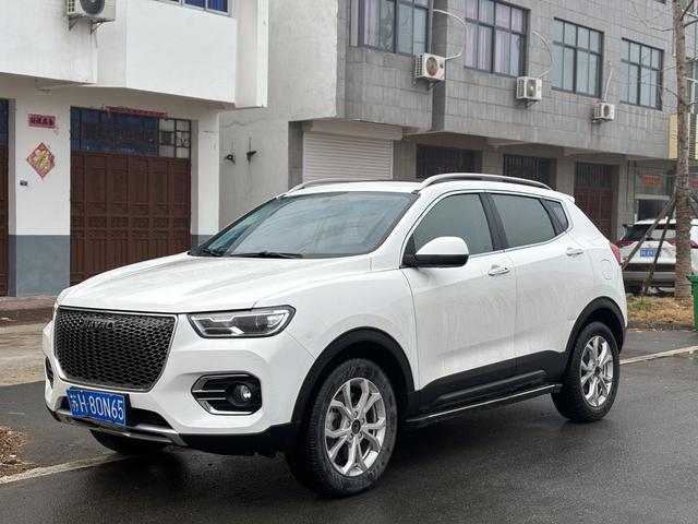 Haval H2s