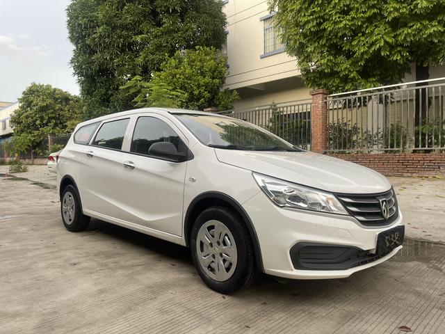 Baojun 310W