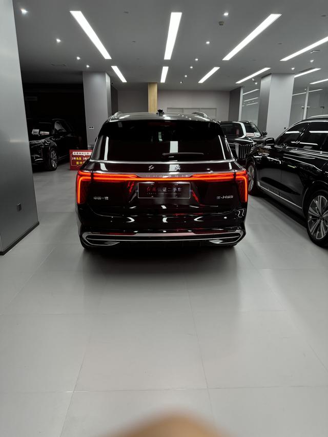 Hongqi E-HS9