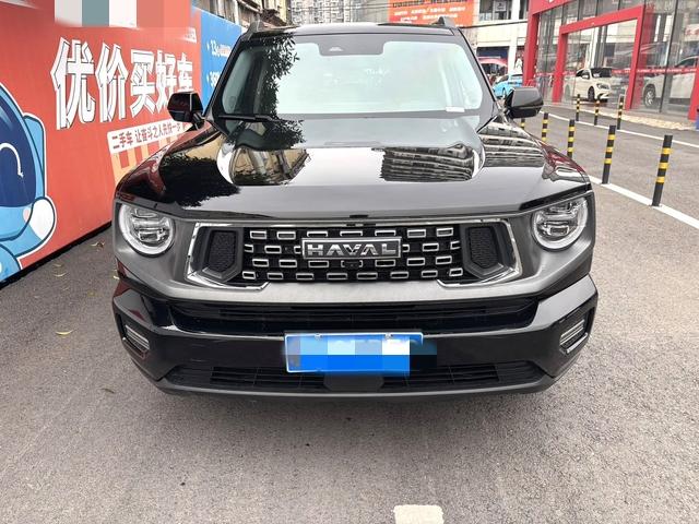 Haval second generation big dog