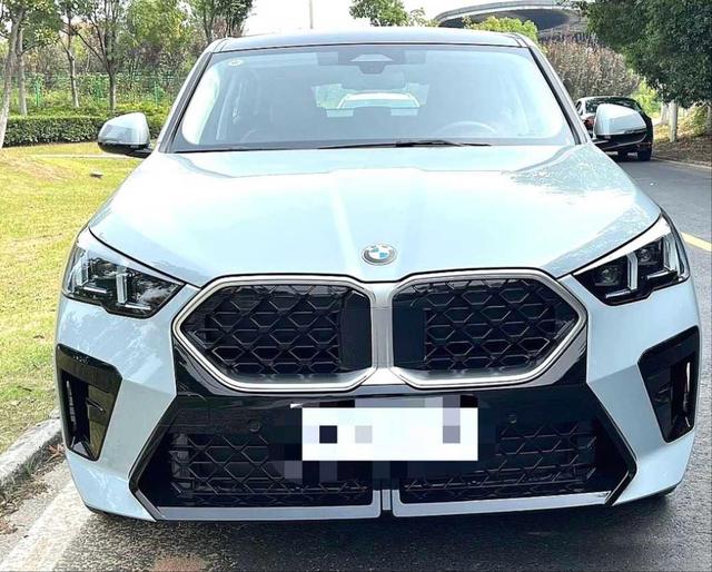 BMW X2 (imported)