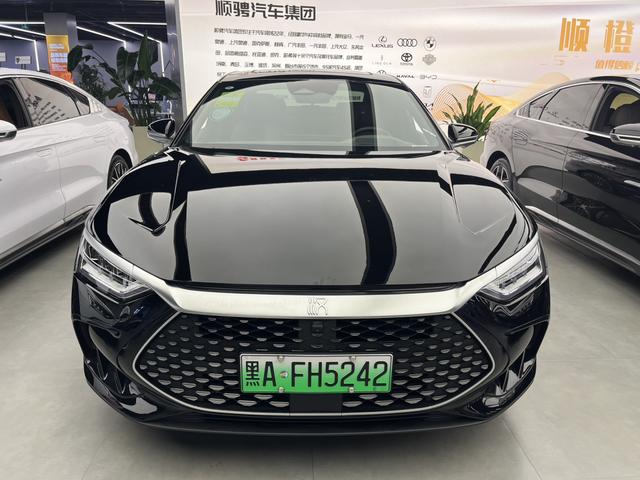 BYD Chinese DM