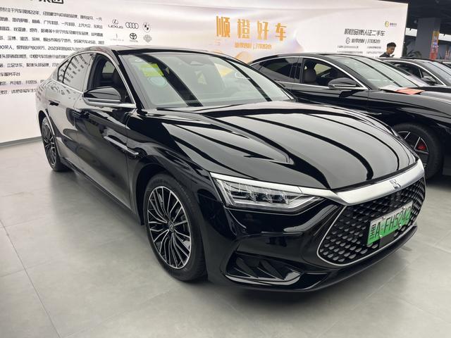 BYD Chinese DM