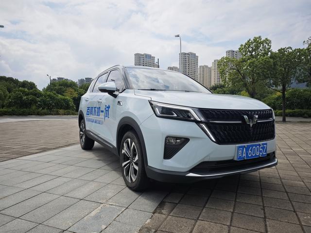 Wuling Star