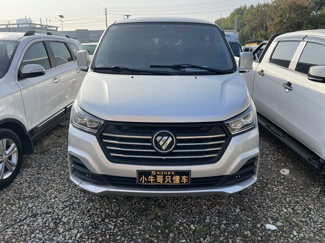 Foton Landscape G5