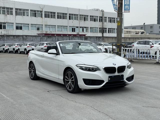 BMW 2 Series (Imported)