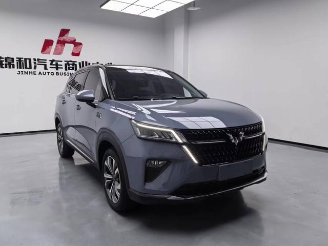 Wuling Star