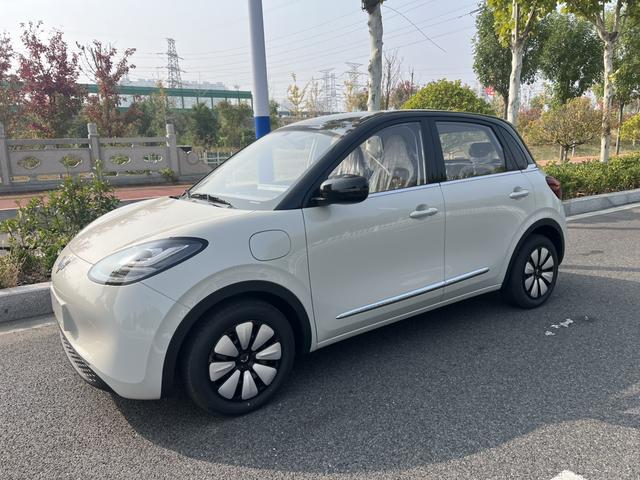 Wuling Bingo