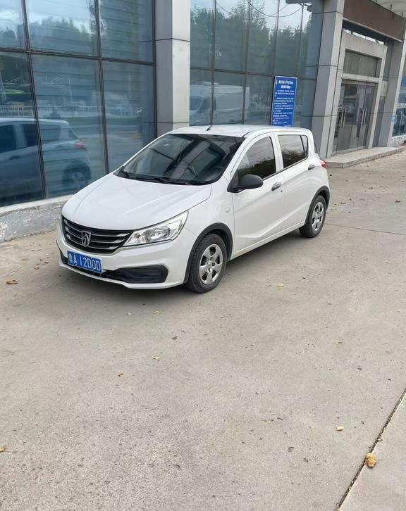 Baojun 310