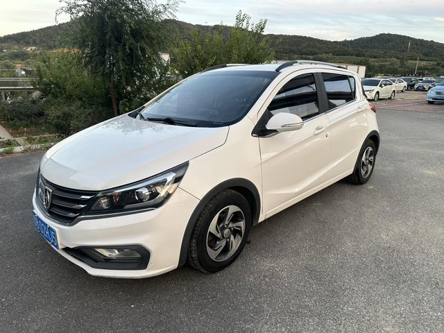 Baojun 310