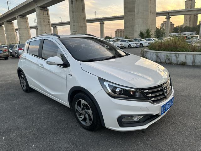 Baojun 310