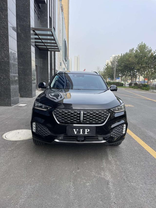 Wei brand VV6