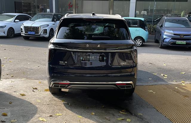 Hongqi HS7