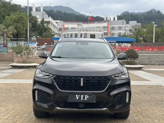 Wei brand VV6