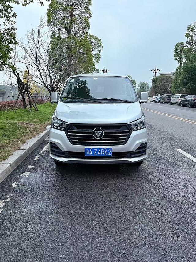 Foton Landscape G5