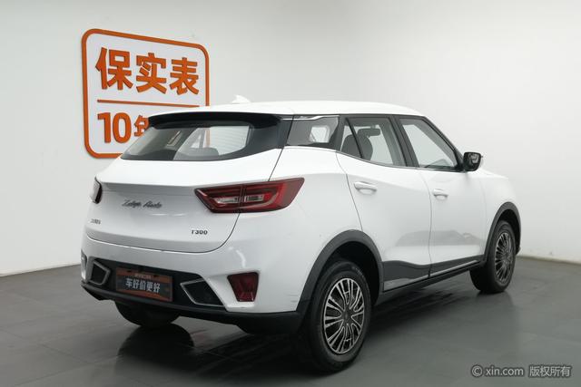 Zotye T300