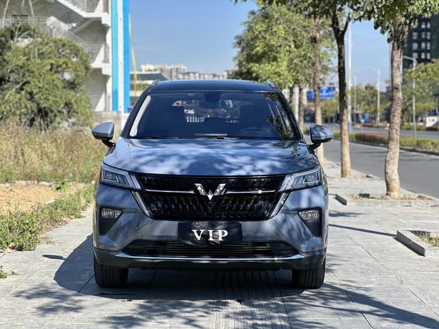 Wuling Star